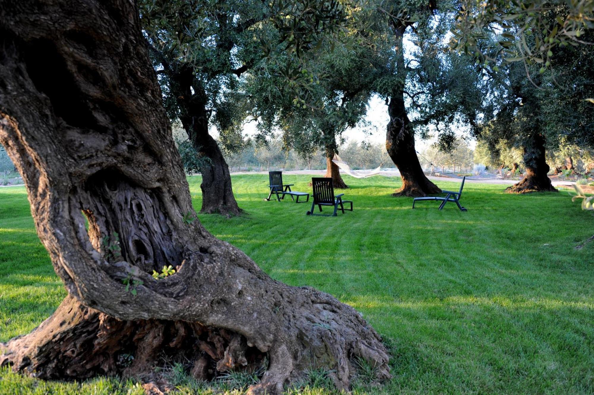 Masseria Lama Di Galizia Остуни Экстерьер фото