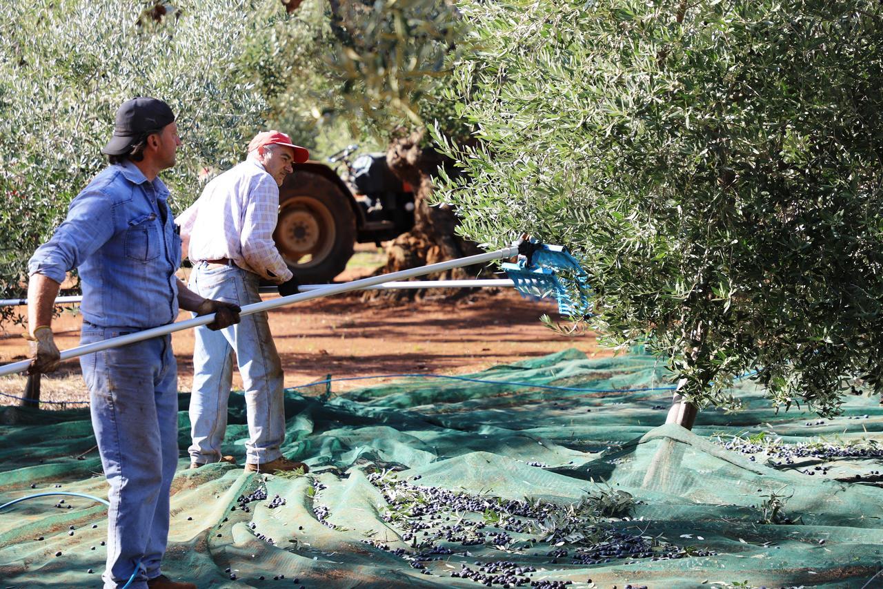 Masseria Lama Di Galizia Остуни Экстерьер фото