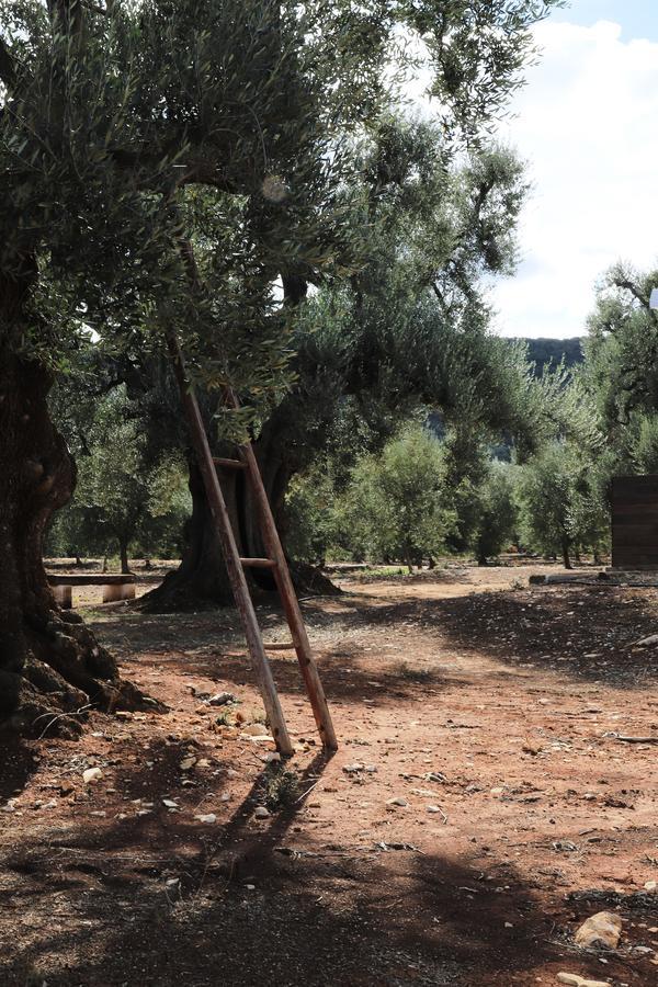Masseria Lama Di Galizia Остуни Экстерьер фото